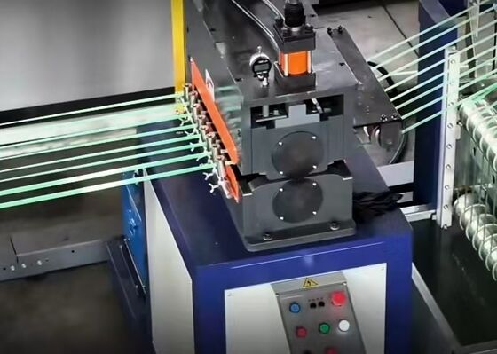 Enerji Verimli Sürdürülebilir Pet Şerit Üretim Hattı Gelişmiş