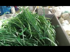 Tek varlıklı yumuşak malzeme parçalayıcı